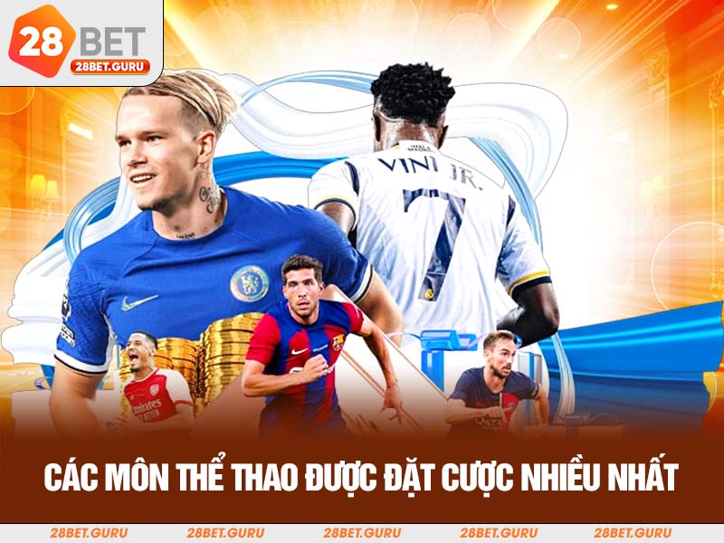 các môn thể thao đặt cược nhiều