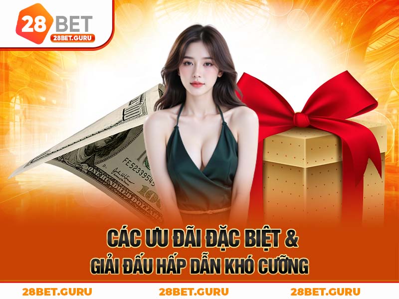 Các ưu đãi hấp dẫn